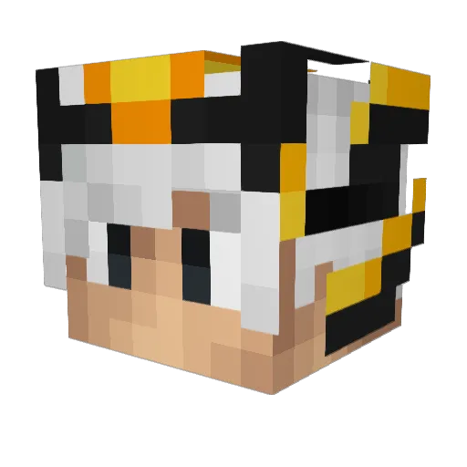 rouvi15 Minecraft avatar head, 3D render