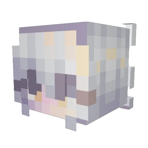 rouxserval Minecraft avatar head, 3D render