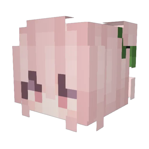rouy Minecraft avatar head, 3D render