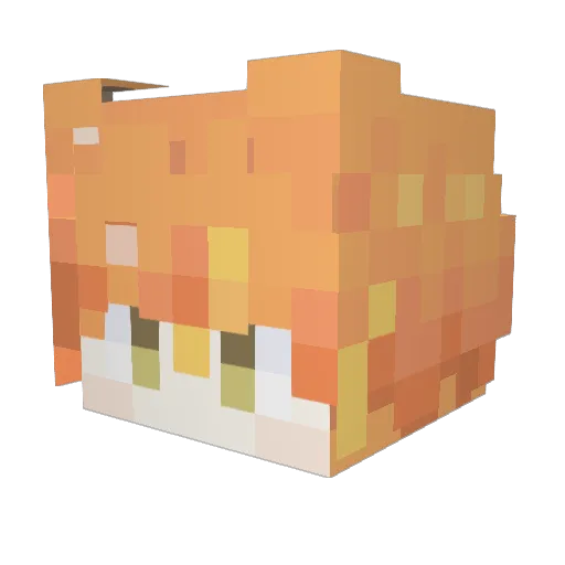 rovae_ Minecraft avatar head, 3D render
