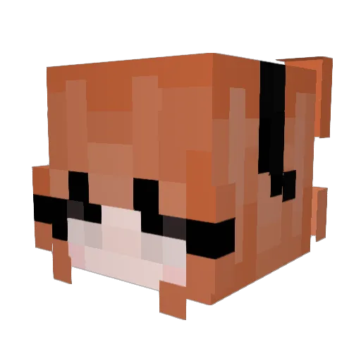 row2n Minecraft avatar head, 3D render