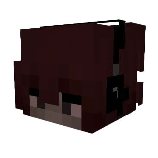 rowaaannn Minecraft avatar head, 3D render