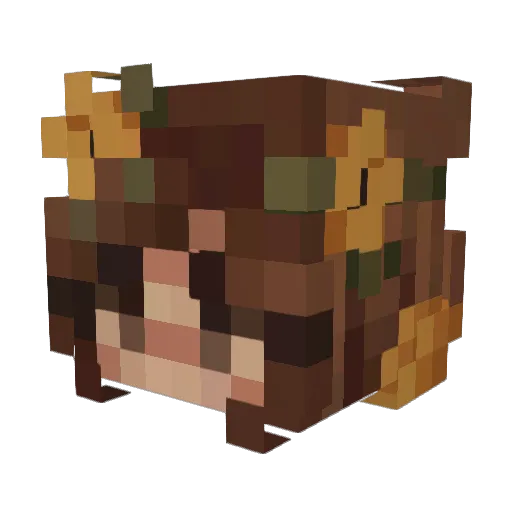 rowanh1122789 Minecraft avatar head, 3D render