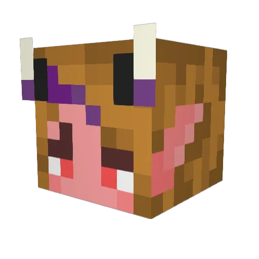 rowanstuck Minecraft avatar head, 3D render