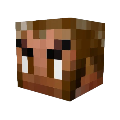 rowdawg360 Minecraft avatar head, 3D render