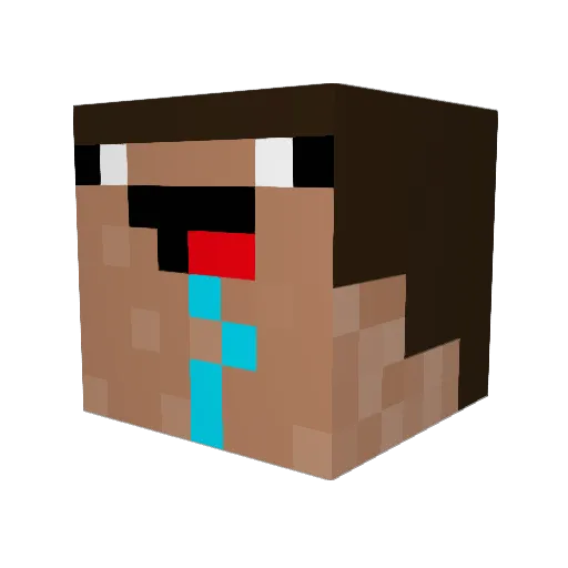 rowdogg21 Minecraft avatar head, 3D render