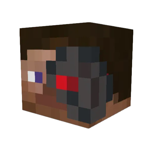 rowdydowdy4 Minecraft avatar head, 3D render