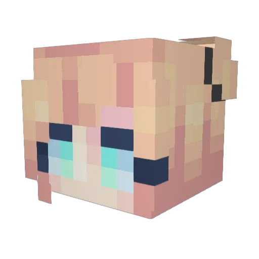 rowdyrodrigues Minecraft avatar head, 3D render