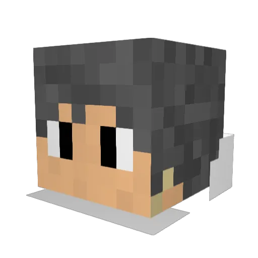 rowie12 Minecraft avatar head, 3D render