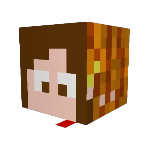 rowigi Minecraft avatar head, 3D render