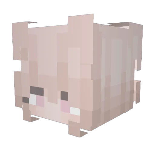 rowoon09 Minecraft avatar head, 3D render