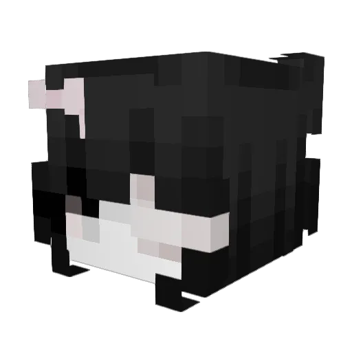 rowsve Minecraft avatar head, 3D render