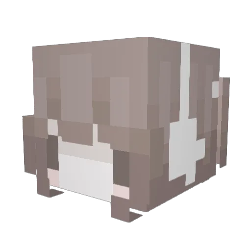 roxanas Minecraft avatar head, 3D render