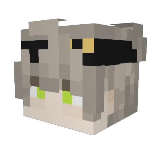 roxasceed Minecraft avatar head, 3D render
