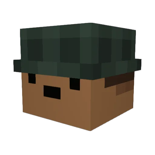 roxbear Minecraft avatar head, 3D render