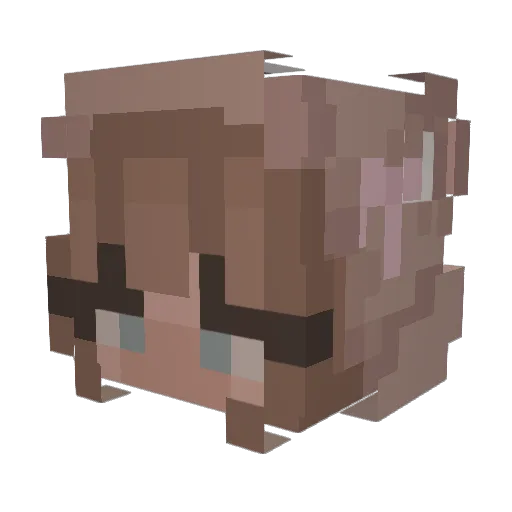 roxboi Minecraft avatar head, 3D render