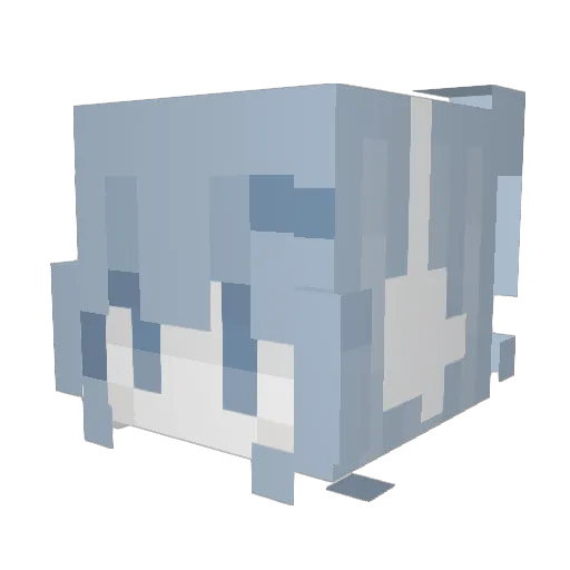 roxbotDj Minecraft avatar head, 3D render