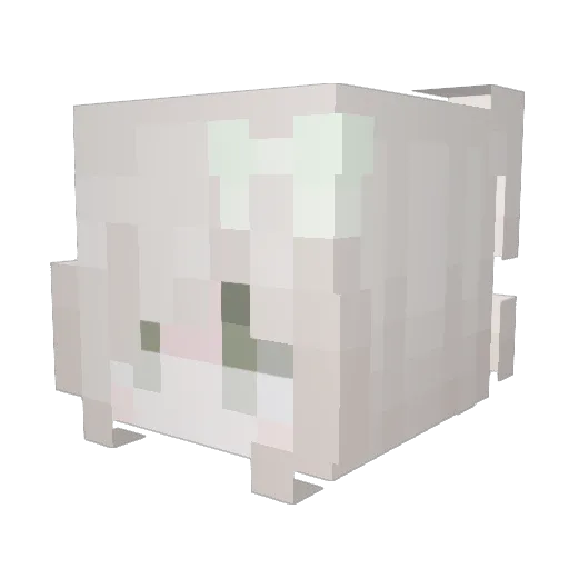 roxbotters Minecraft avatar head, 3D render