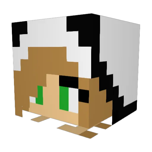 roxi88 Minecraft avatar head, 3D render