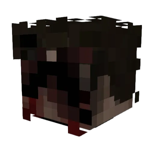 roxie3142 Minecraft avatar head, 3D render