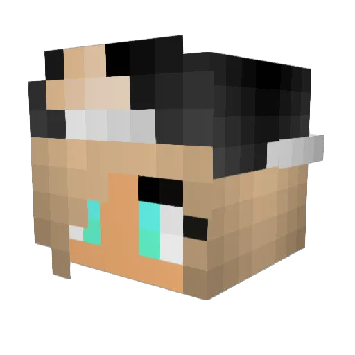 roxy0116 Minecraft avatar head, 3D render