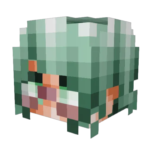 roxyhat Minecraft avatar head, 3D render