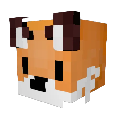 roxyneedssleep Minecraft avatar head, 3D render
