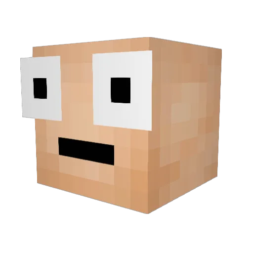 roxytigger Minecraft avatar head, 3D render
