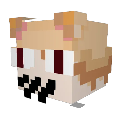 roy4lewithcheese Minecraft avatar head, 3D render