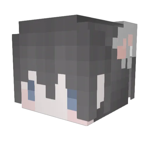royalfalcon619 Minecraft avatar head, 3D render