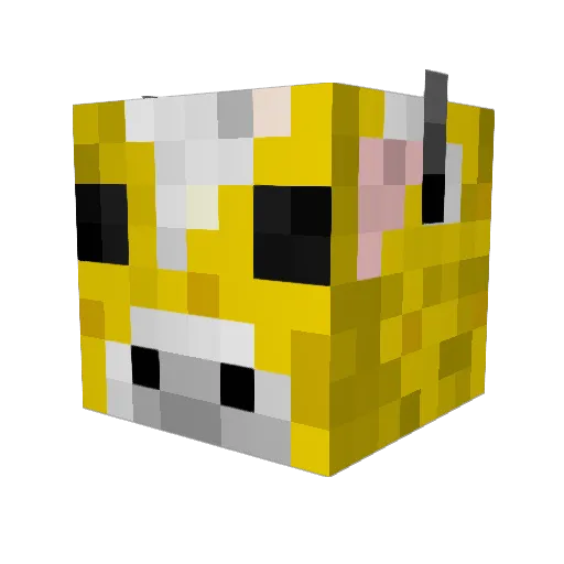 royalmatty1000 Minecraft avatar head, 3D render