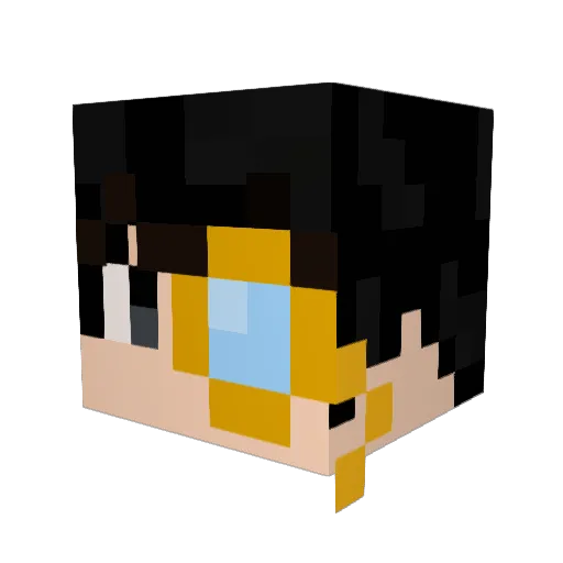 roylovesmoney Minecraft avatar head, 3D render