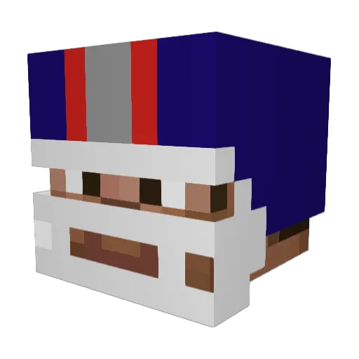 roysgamer Minecraft avatar head, 3D render