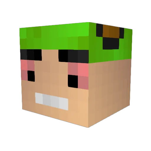 roysousa Minecraft avatar head, 3D render