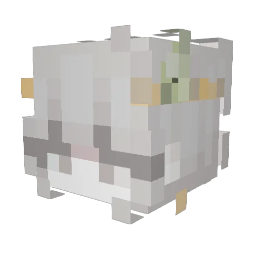 roytai0802 Minecraft avatar head, 3D render