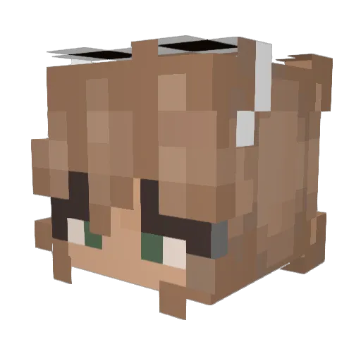 rozyposy Minecraft avatar head, 3D render