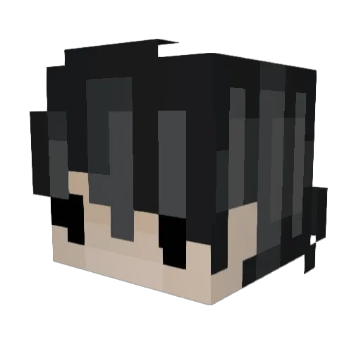 rparadisee Minecraft avatar head, 3D render
