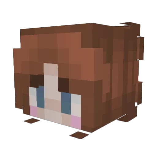 rpetrie3041 Minecraft avatar head, 3D render