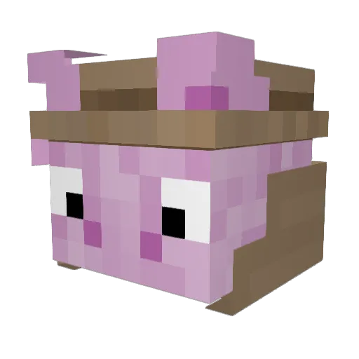 rphlr Minecraft avatar head, 3D render
