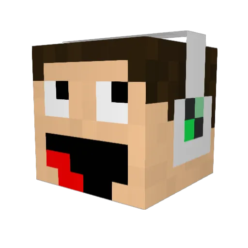 rpo40 Minecraft avatar head, 3D render