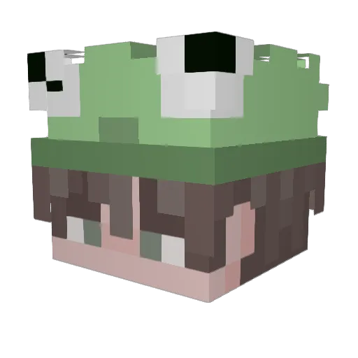 rpor Minecraft avatar head, 3D render