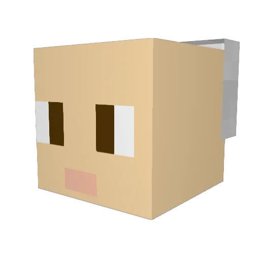 rpro0945 Minecraft avatar head, 3D render