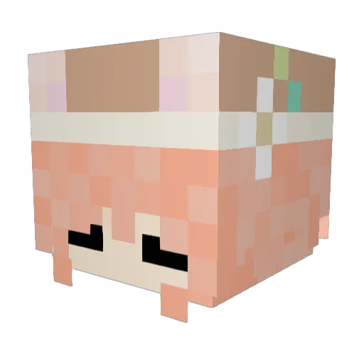 rpyshed Minecraft avatar head, 3D render