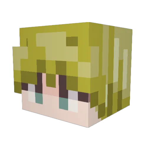 rq_KilluA Minecraft avatar head, 3D render