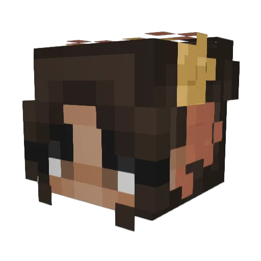 rqchels Minecraft avatar head, 3D render