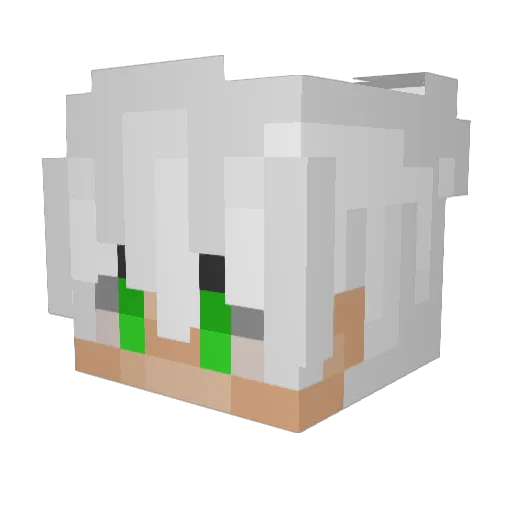rqms Minecraft avatar head, 3D render