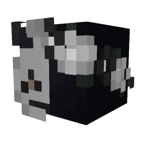 rqn_ Minecraft avatar head, 3D render