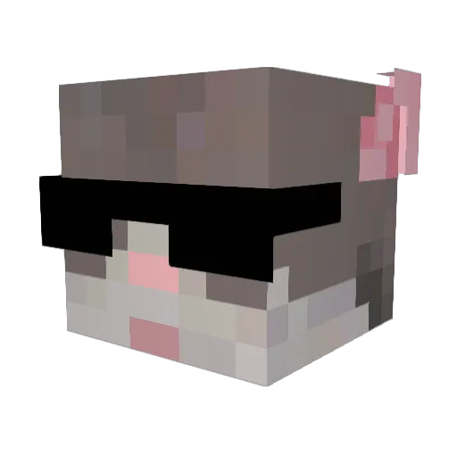 rqtman Minecraft avatar head, 3D render