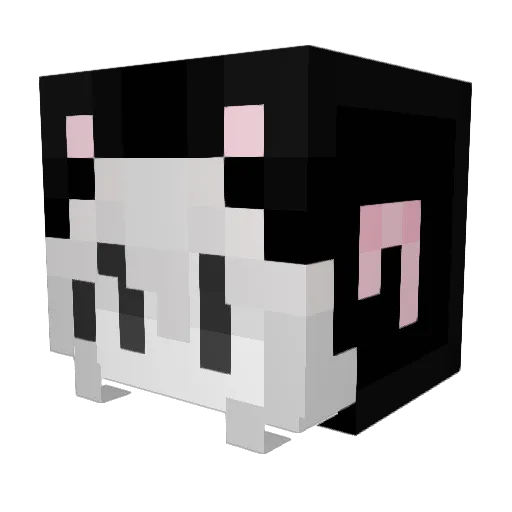 rr1x Minecraft avatar head, 3D render