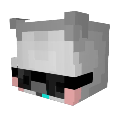rr996tty Minecraft avatar head, 3D render